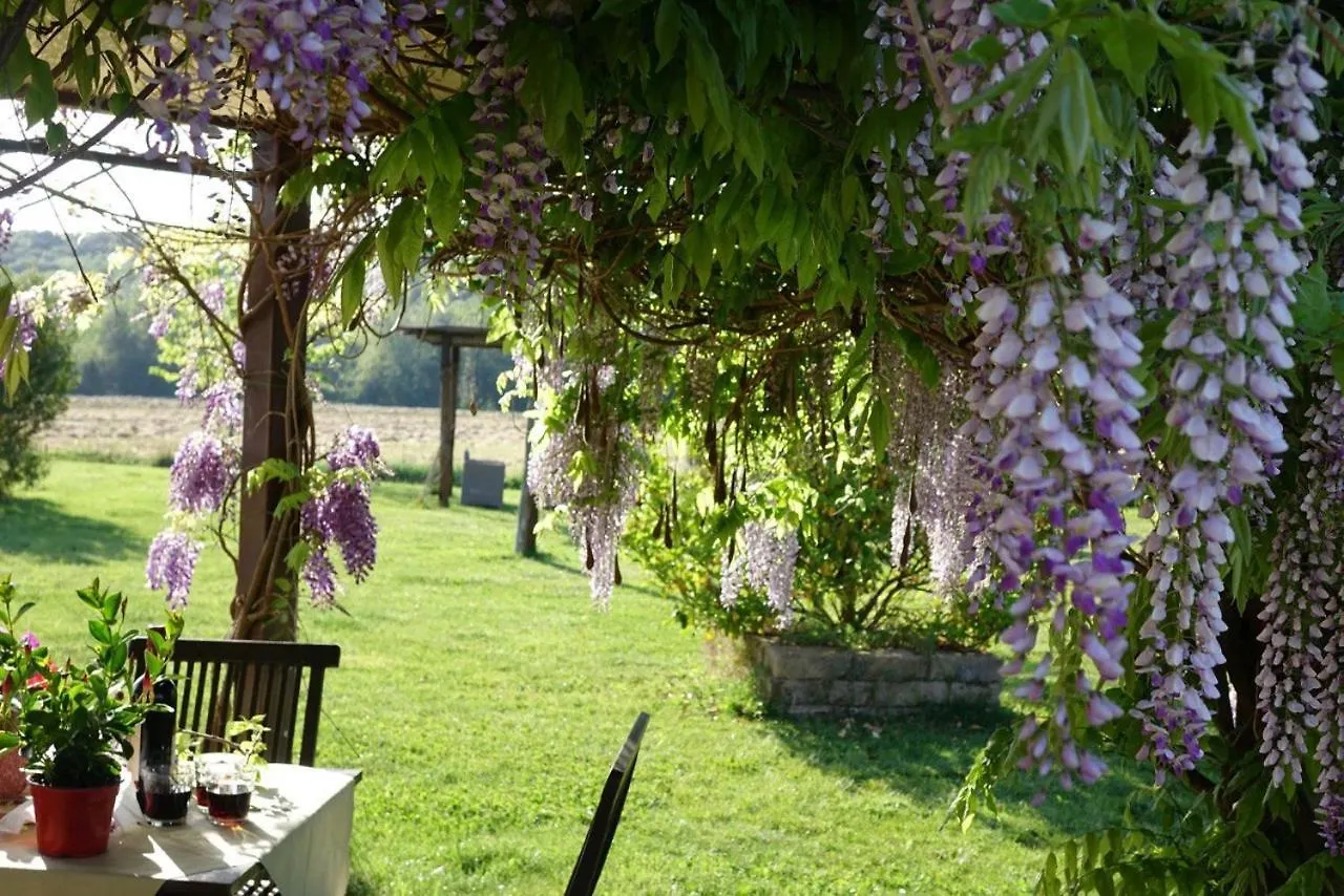 Agriturismo Sant Anna Quarter Horse Cura Nuova 0*,  Italien