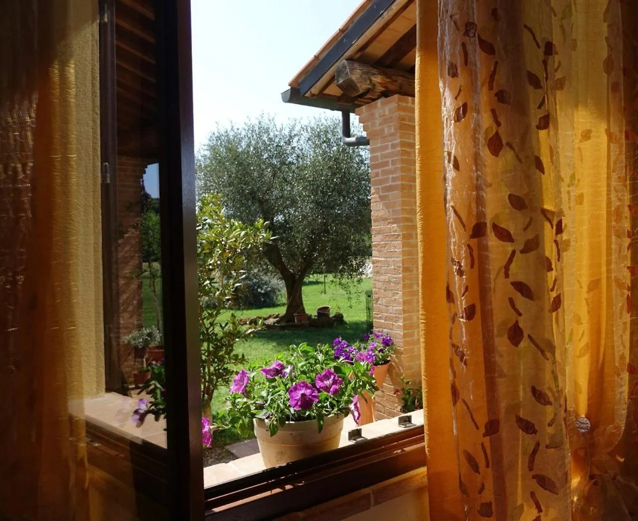 Agriturismo Sant Anna Quarter Horse Cura Nuova