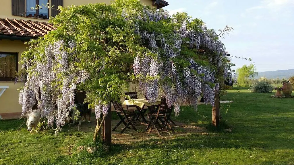 Agriturismo Sant Anna Quarter Horse Cura Nuova 0*,