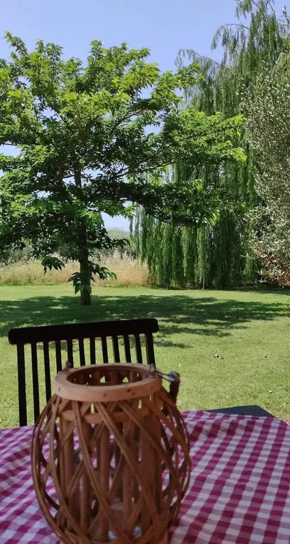 Farm stay Agriturismo Sant Anna Quarter Horse Cura Nuova