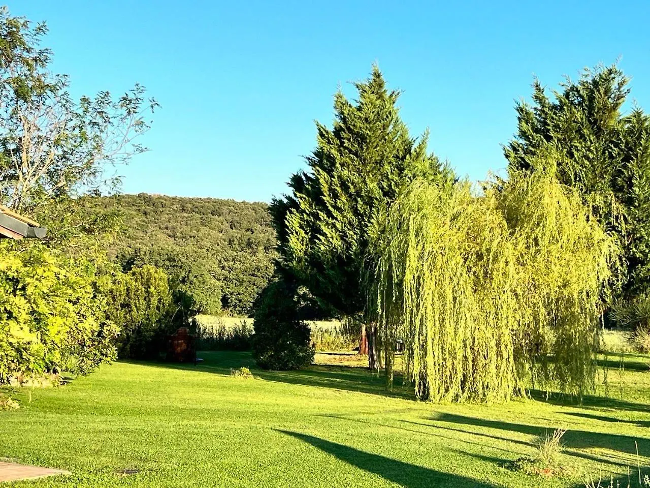 Agriturismo Sant Anna Quarter Horse Cura Nuova Farm stay