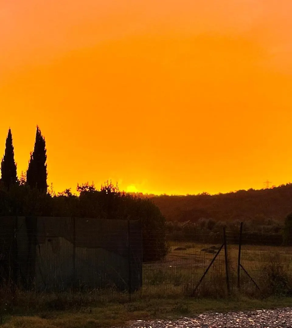 Farm stay Agriturismo Sant Anna Quarter Horse Cura Nuova