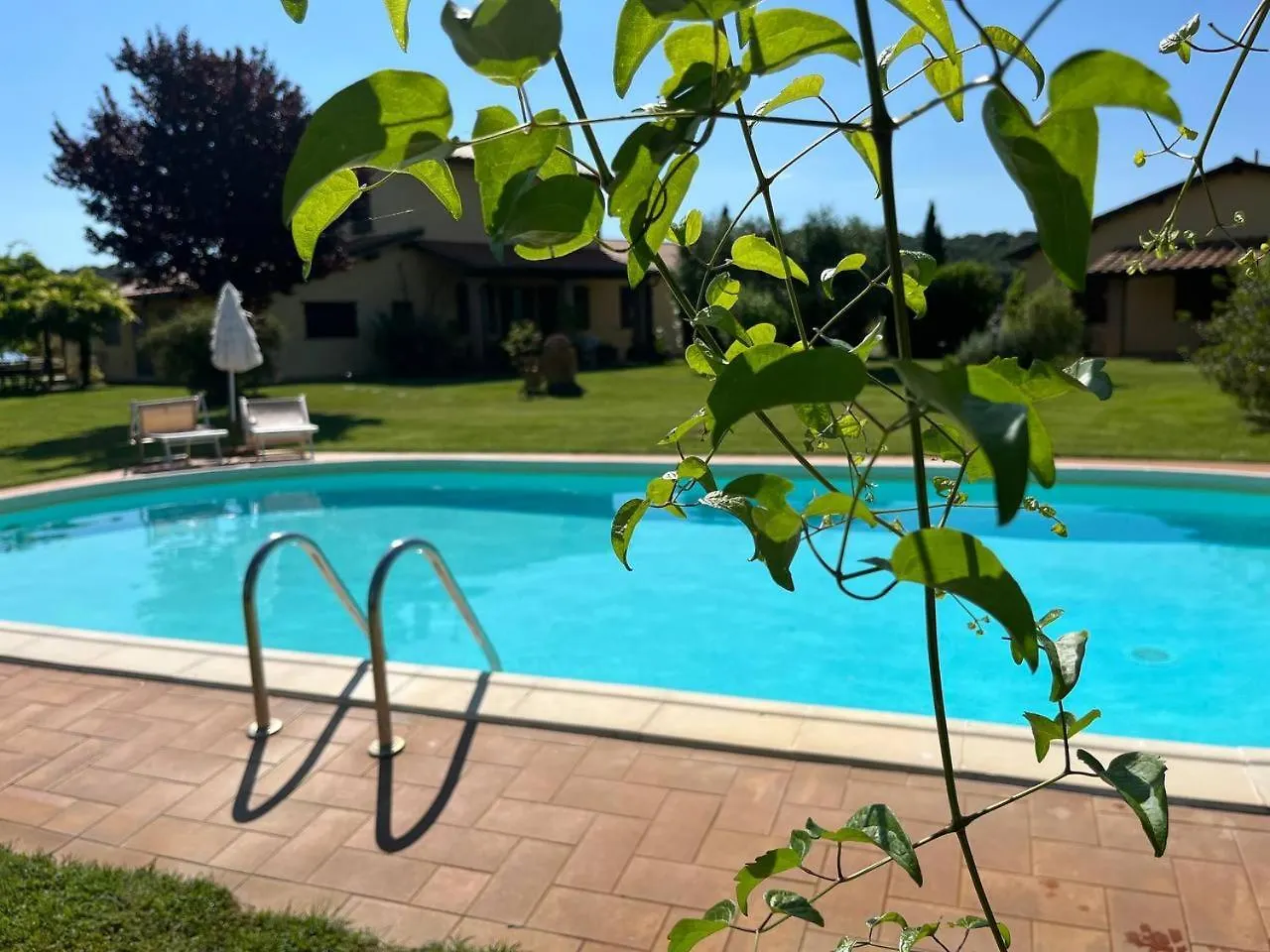 Agriturismo Sant Anna Quarter Horse Cura Nuova Italy